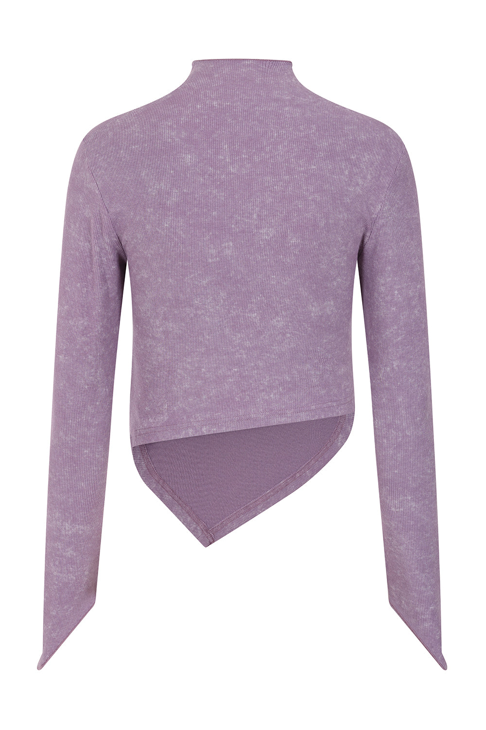 Banned Alternative Purple Pierce Protocol Top